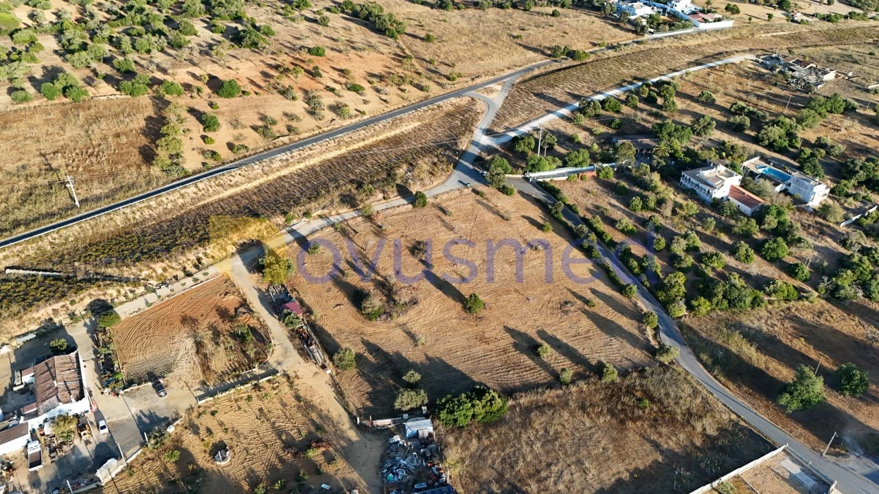 Terreno Agricola ou Rústico para Venda em Ferreiras Foto 13
