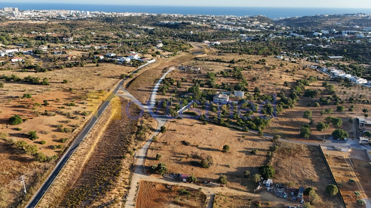 Terreno Agricola ou Rústico para Venda em Ferreiras Foto 15