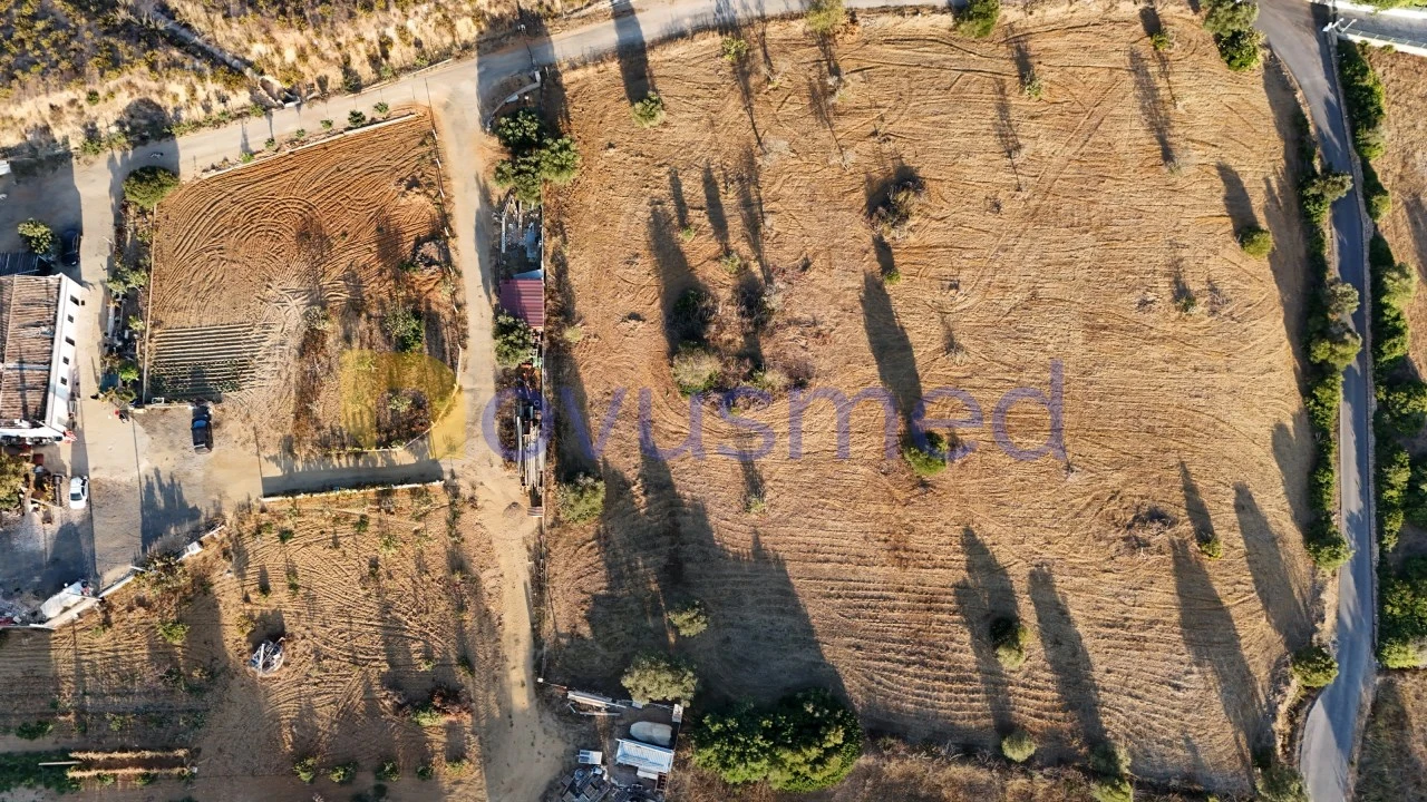 Terreno Agricola ou Rústico para Venda em Ferreiras Foto 16