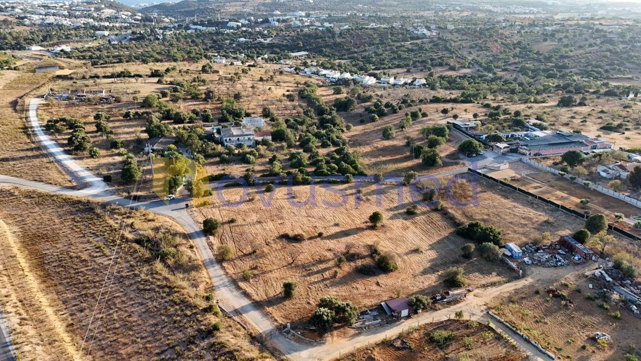 Terreno Agricola ou Rústico para Venda em Ferreiras Foto 20