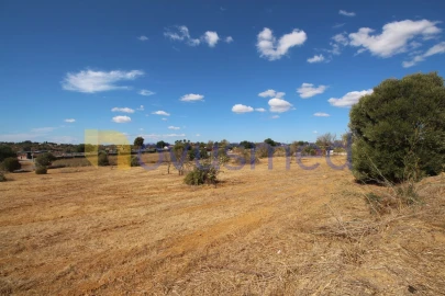 Terreno Agricola ou Rústico para Venda em Ferreiras