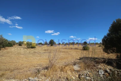 Terreno Agricola ou Rústico para Venda em Ferreiras