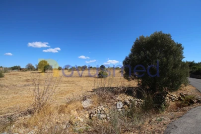 Terreno Agricola ou Rústico para Venda em Ferreiras