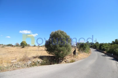 Terreno Agricola ou Rústico para Venda em Ferreiras