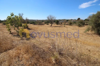 Terreno Agricola ou Rústico para Venda em Ferreiras