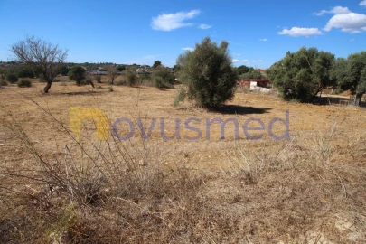 Terreno Agricola ou Rústico para Venda em Ferreiras