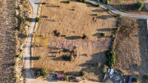 Terreno Agricola ou Rústico para Venda em Ferreiras