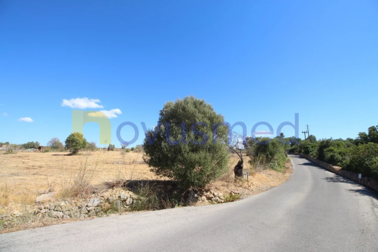 Terreno Agricola ou Rústico para Venda em Ferreiras Foto 5