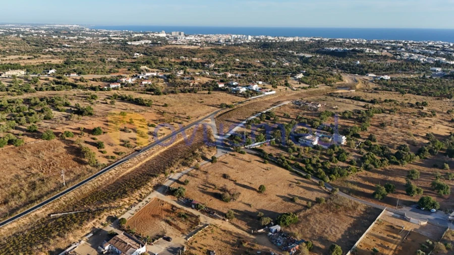 Terreno Agricola ou Rústico para Venda em Ferreiras Foto 14