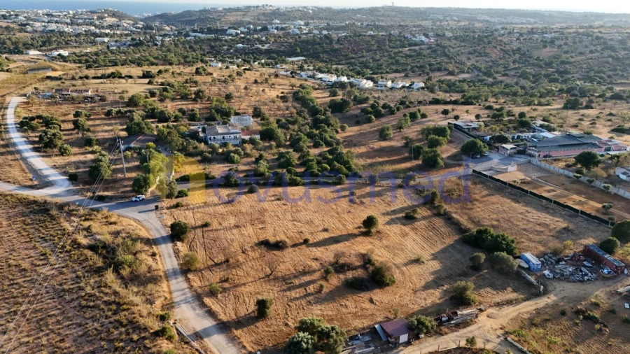 Terreno Agricola ou Rústico para Venda em Ferreiras Foto 22