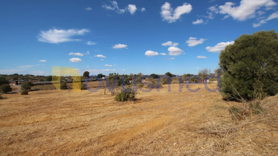 Terreno Agricola ou Rústico para Venda em Ferreiras