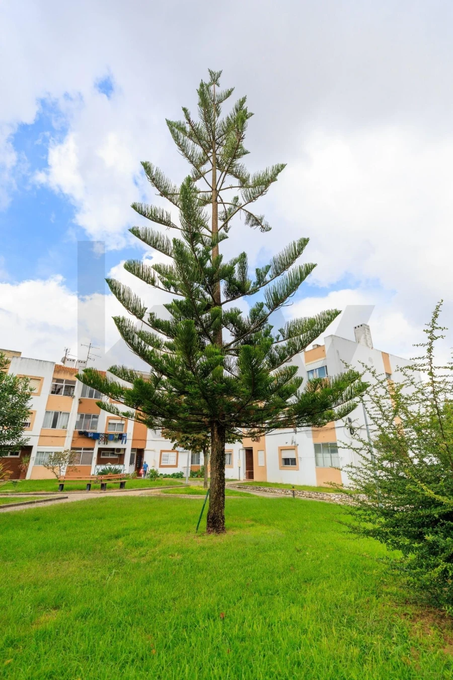 Apartamento T3 para Arrendamento em Azeitão (São Lourenço e São Simão) Foto 9