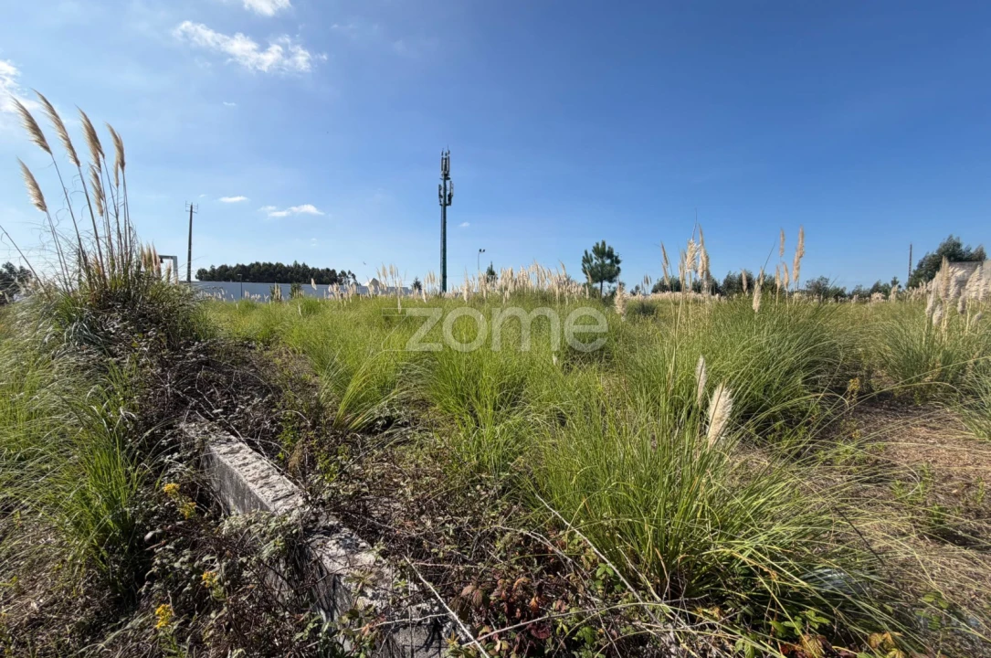 Terreno para Venda em Vila Nova de Famalicão e Calendário Foto 3