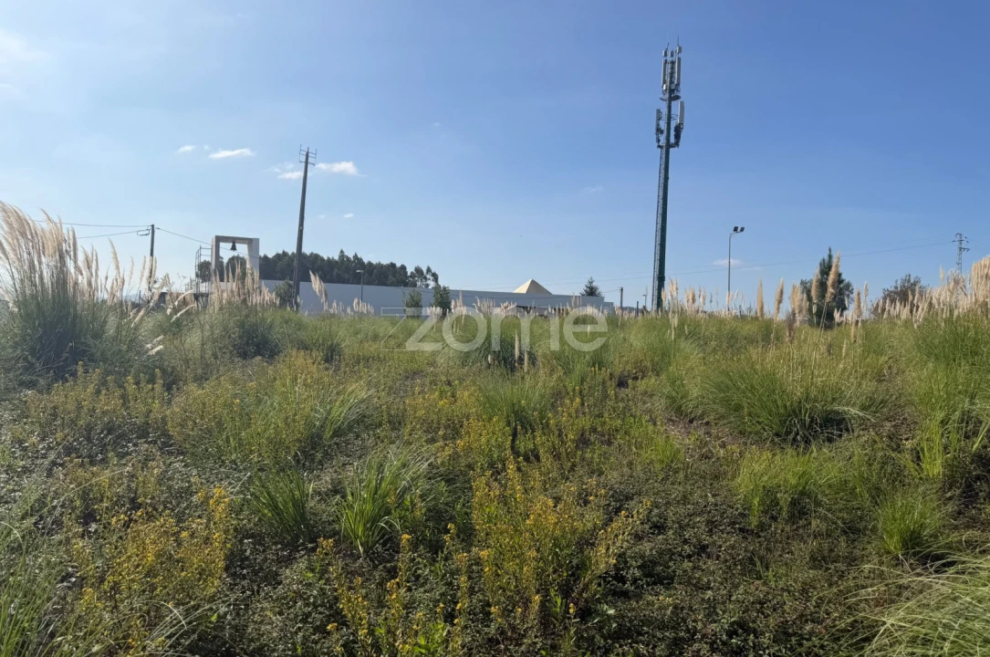 Terreno para Venda em Vila Nova de Famalicão e Calendário Foto 5
