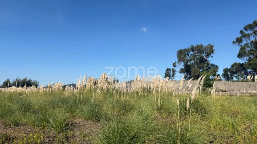Terreno para Venda em Vila Nova de Famalicão e Calendário