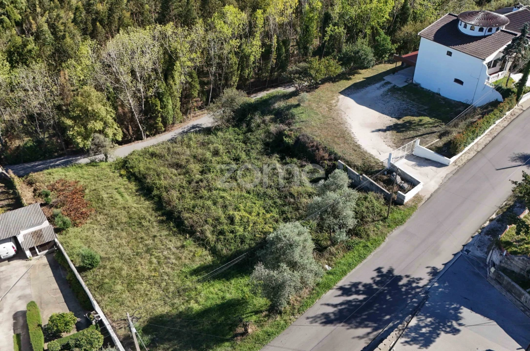 Terreno para Venda em Sangalhos Foto 3