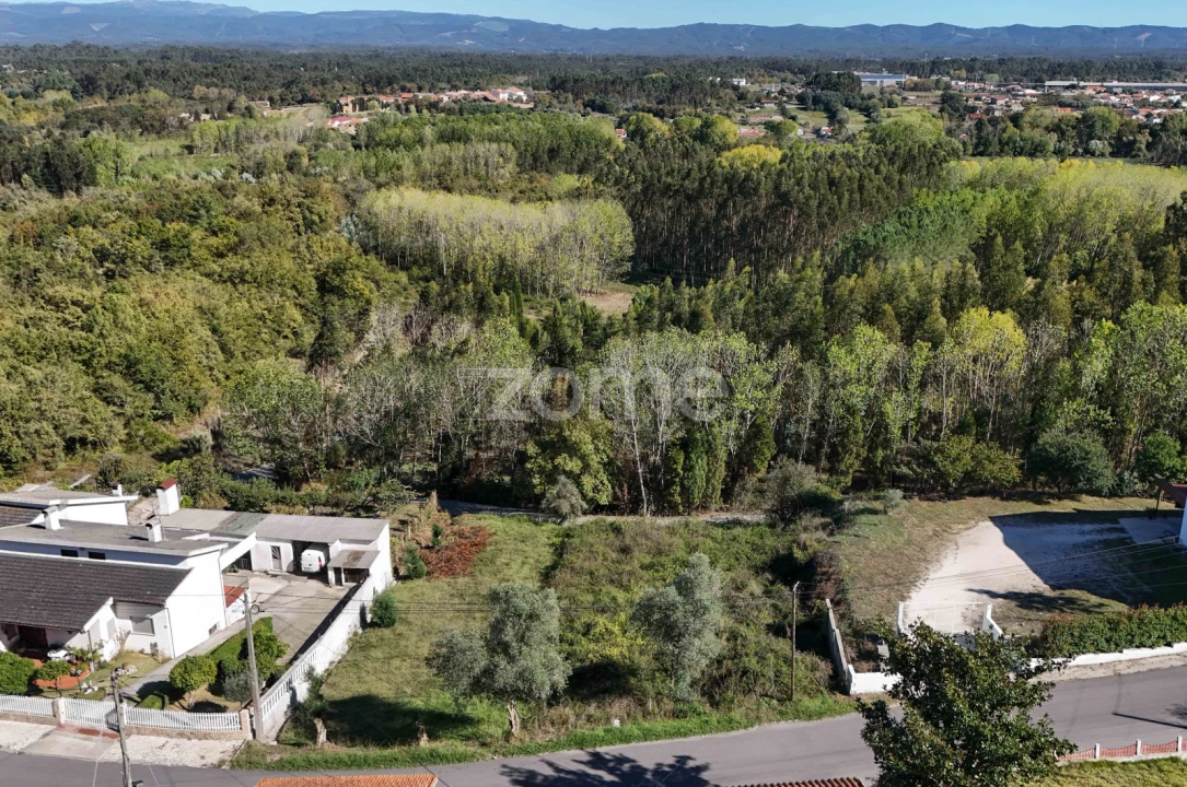 Terreno para Venda em Sangalhos Foto 11