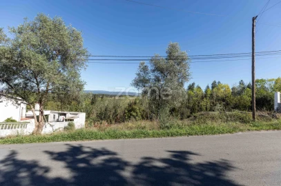 Terreno para Venda em Sangalhos