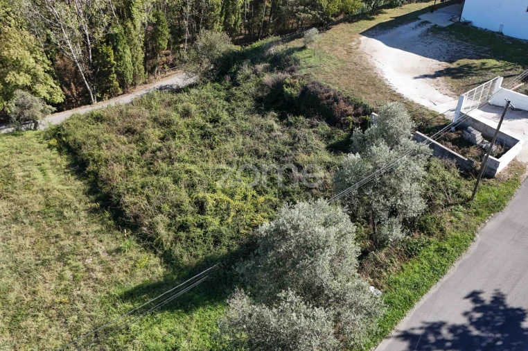 Terreno para Venda em Sangalhos Foto 16