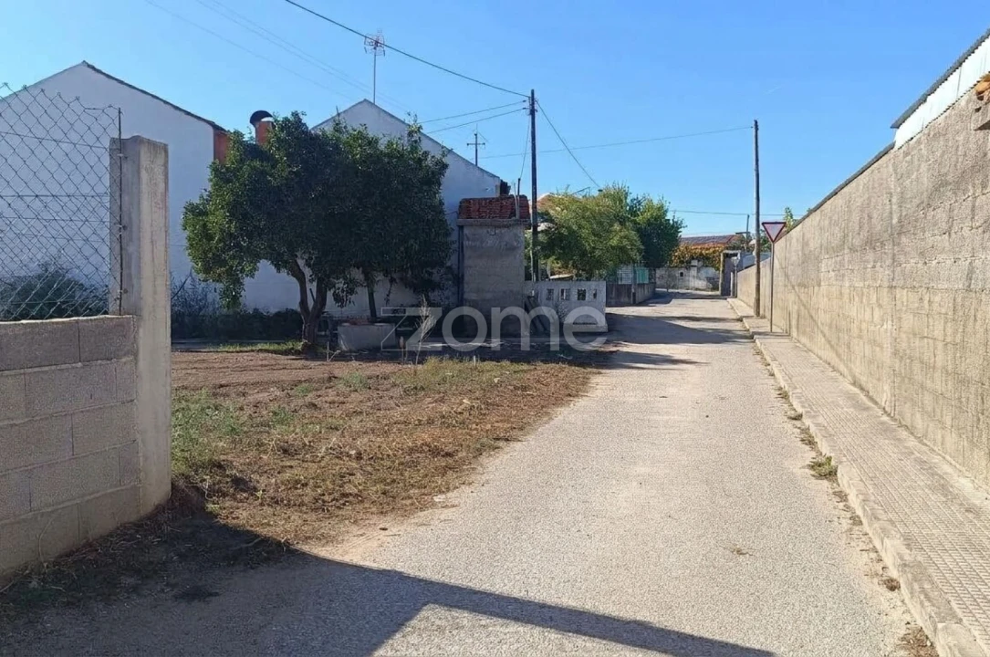 Terreno para Venda em São João do Campo Foto 17