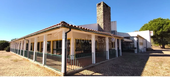 Negócio para Venda em Idanha-A-Nova e Alcafozes