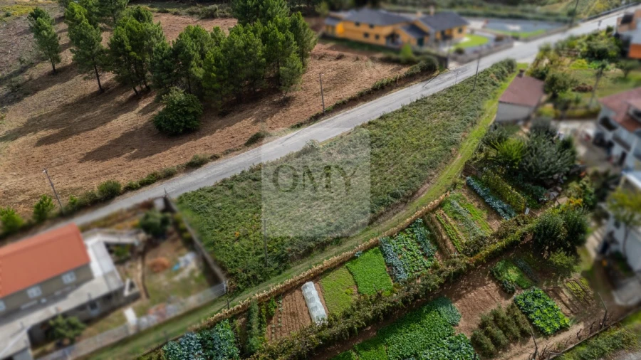 Terreno para Venda em Folhadela Foto 3