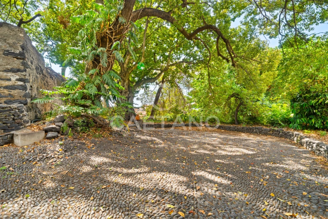 Quinta T6 para Venda em Imaculado Coração de Maria Foto 56