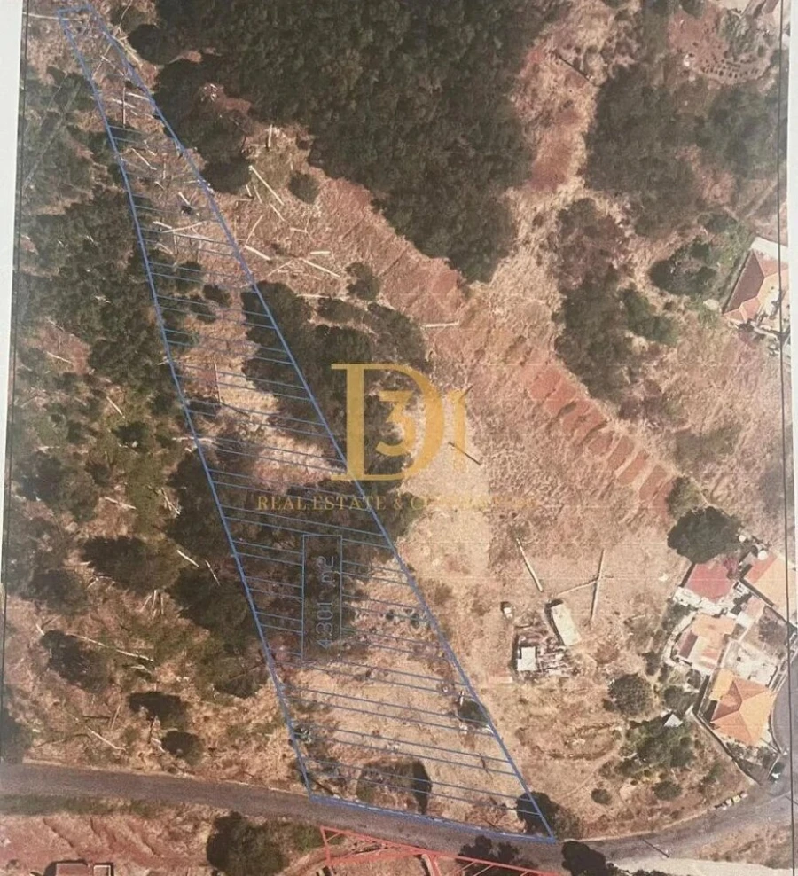 Terreno para Venda em Caniço Foto 5