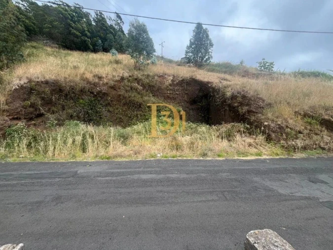 Terreno para Venda em Caniço Foto 4