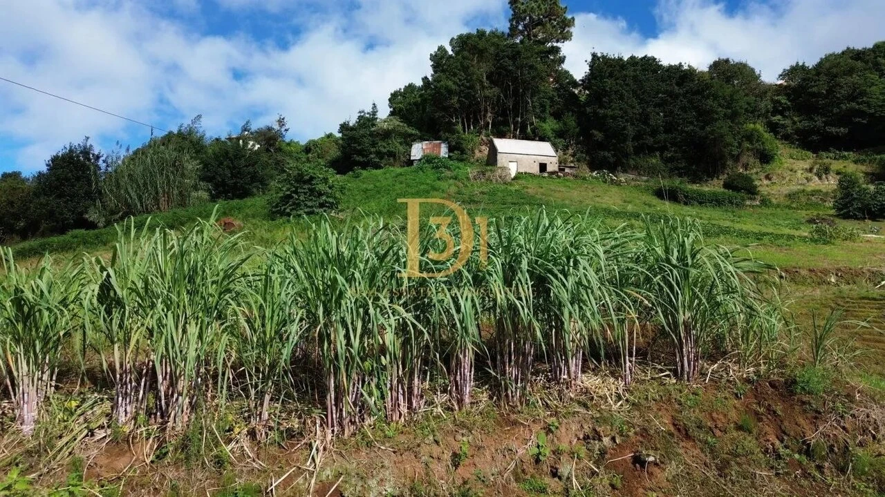 Terreno para Venda em Santana Foto 2