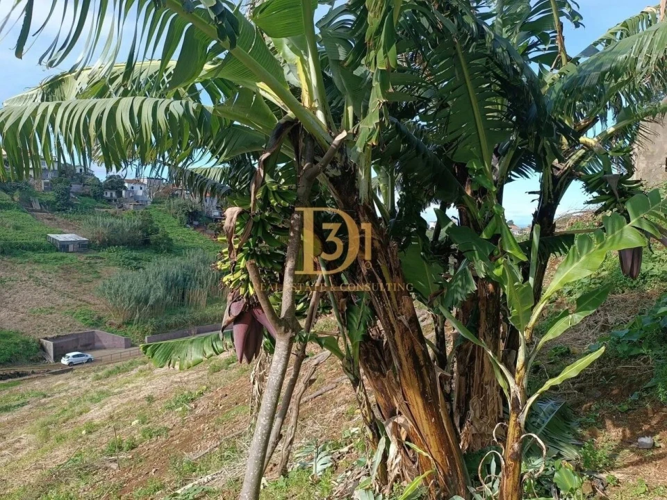 Terreno para Venda em Santana Foto 11