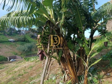 Terreno para Venda em Santana