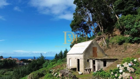 Terreno para Venda em Santana