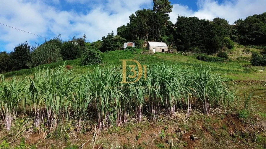 Terreno para Venda em Santana Foto 2