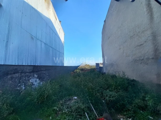 Terreno para Venda em Oliveira do Douro Foto 4