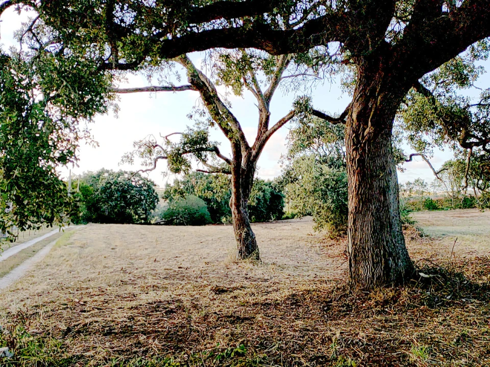 Terreno para Venda em Barrio Foto 1