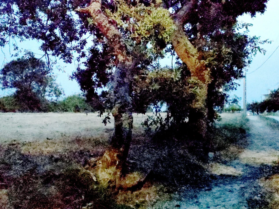 Terreno para Venda em Barrio Foto 8