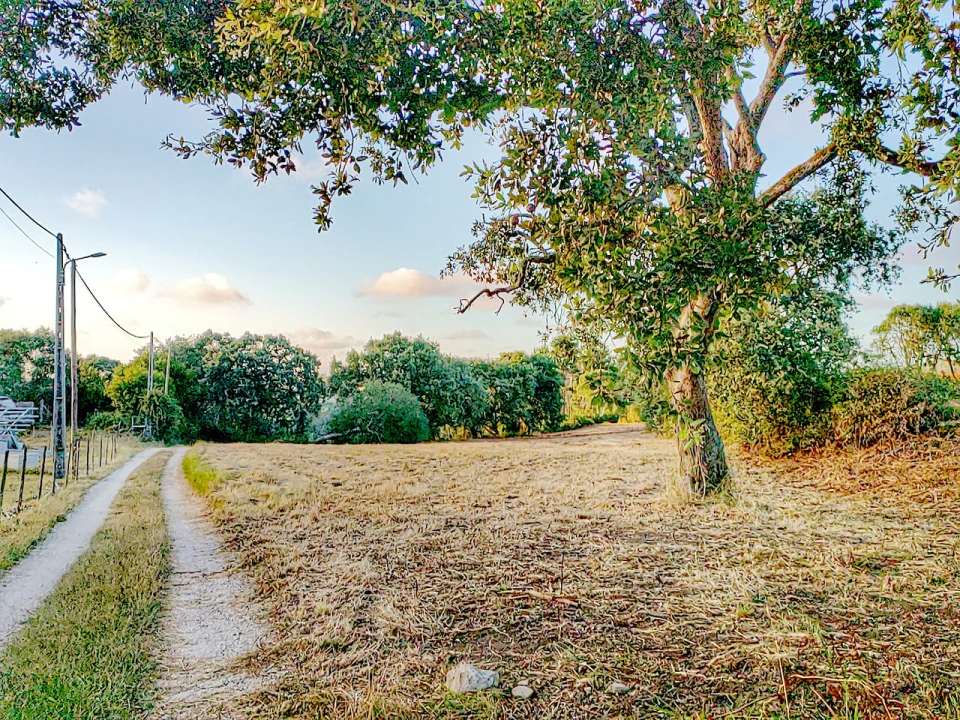 Terreno para Venda em Barrio Foto 7