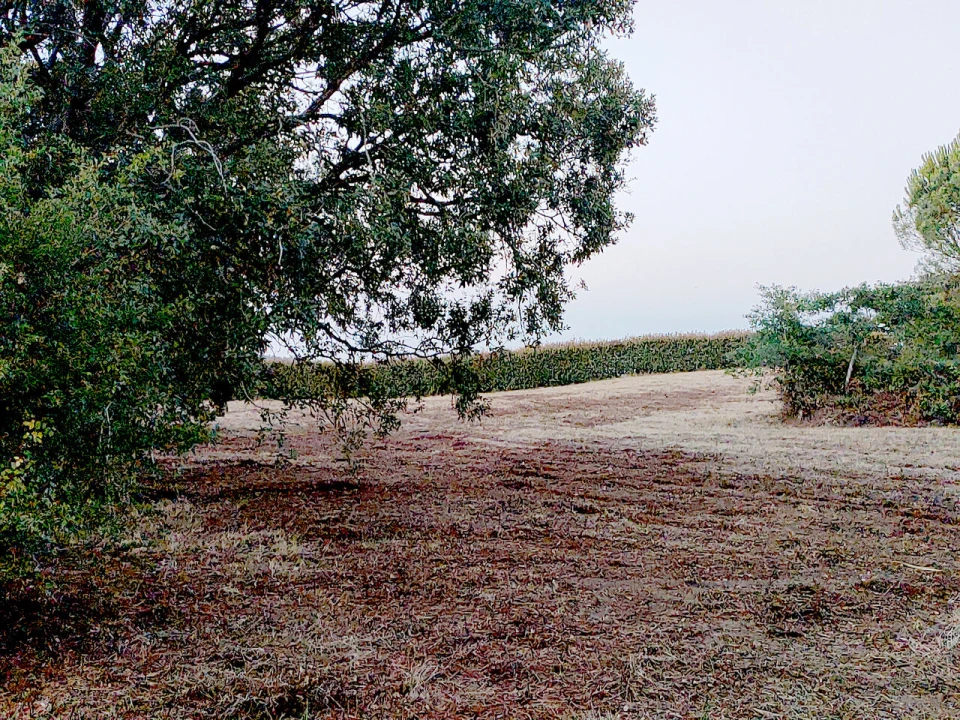Terreno para Venda em Barrio Foto 11