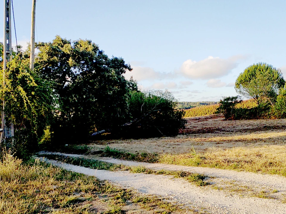 Terreno para Venda em Barrio Foto 13