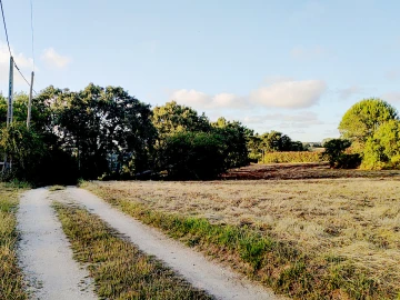 Terreno para Venda em Barrio