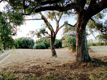 Terreno para Venda em Barrio