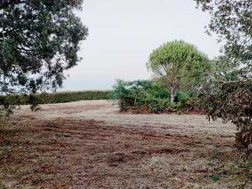 Terreno para Venda em Barrio