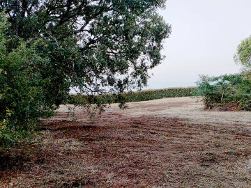 Terreno para Venda em Barrio