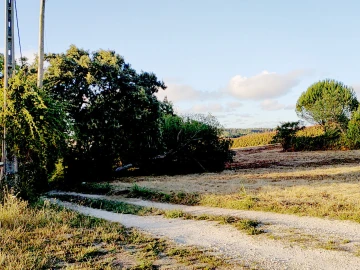 Terreno para Venda em Barrio