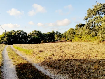 Terreno para Venda em Barrio
