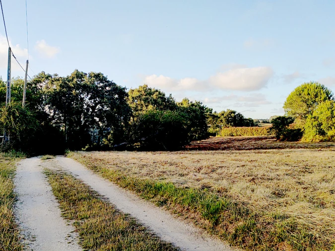 Terreno para Venda em Barrio Foto 3