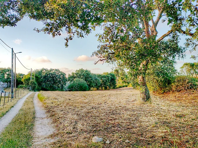Terreno para Venda em Barrio Foto 7