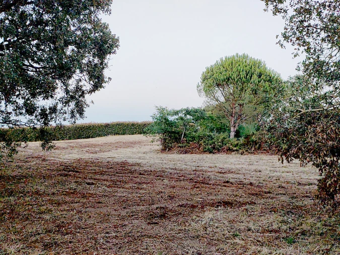 Terreno para Venda em Barrio Foto 6