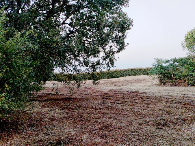 Terreno para Venda em Barrio Foto 11
